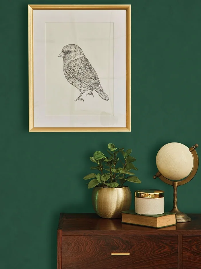 Cebos-Cebosi Decoro-Vopsea decorativă pentru interior